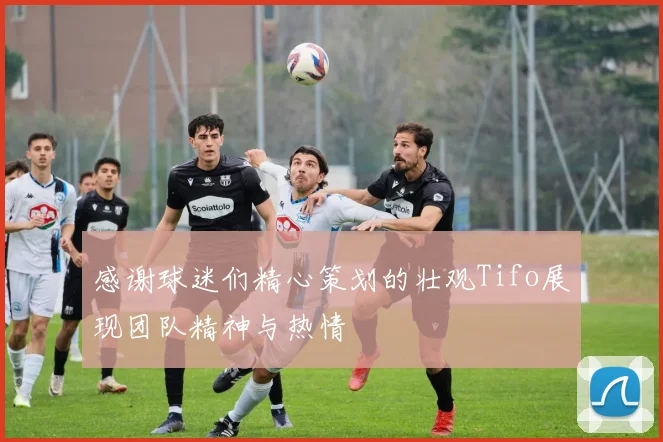 感谢球迷们精心策划的壮观Tifo展现团队精神与热情