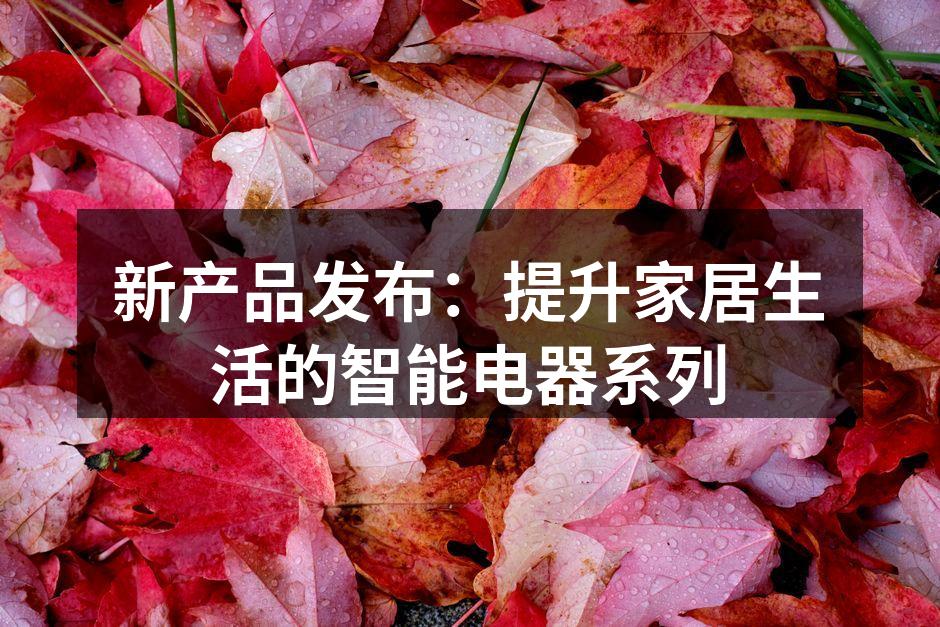 新产品发布：提升家居生活的智能电器系列