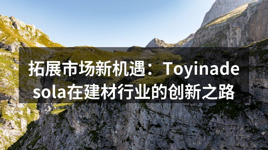 拓展市场新机遇：Toyinadesola在建材行业的创新之路